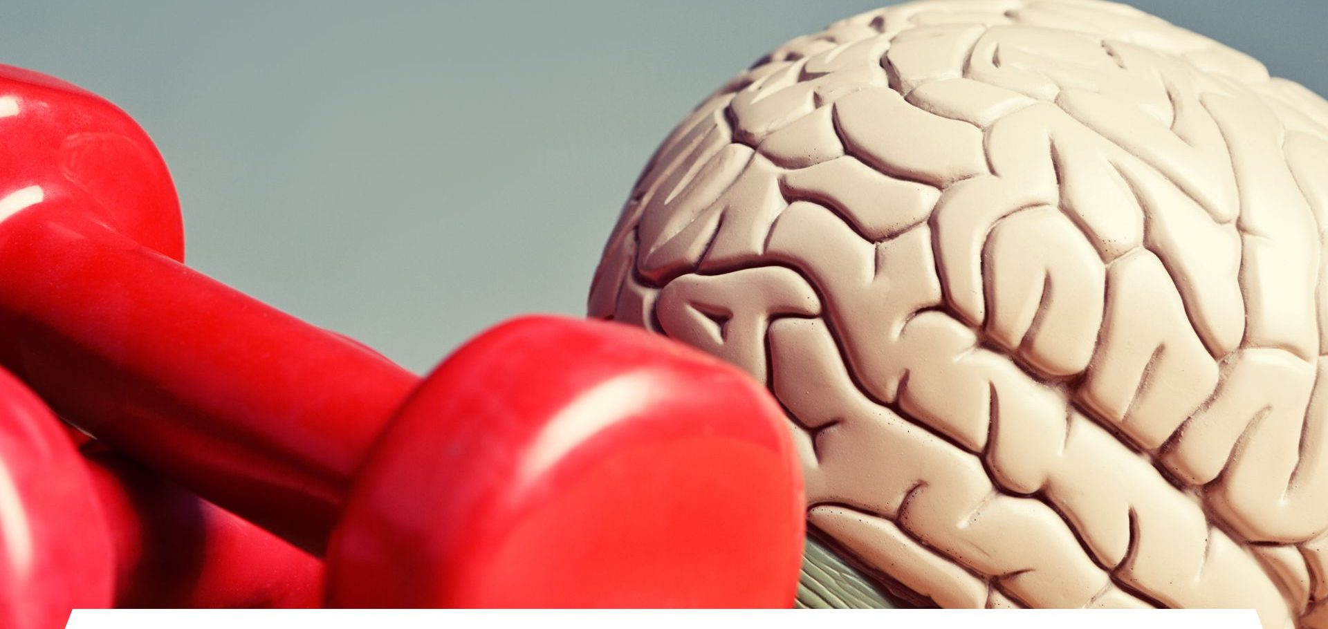 CBSE Schools in Jaipur