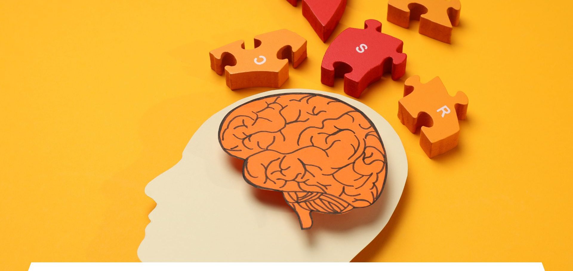 CBSE schools in Jaipur